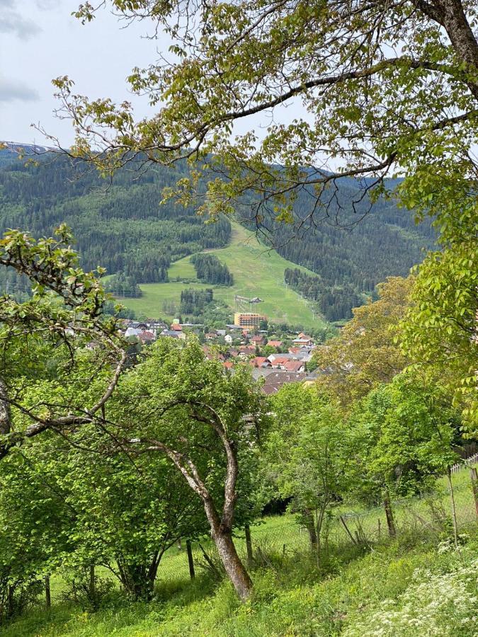 Kreischblick Apartment Sankt Georgen ob Murau Luaran gambar
